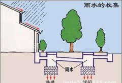 初期雨水收集為什么這么重要？